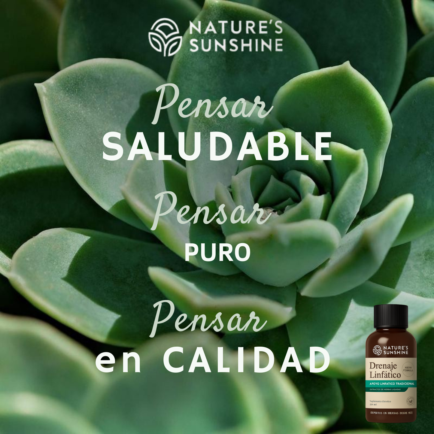 Drenaje Linfático Nature´s Sunshine | Limpieza linfática, energía real.