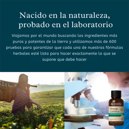 Drenaje Linfático Nature´s Sunshine | Limpieza linfática, energía real.